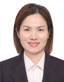 香港全年最全免费资料