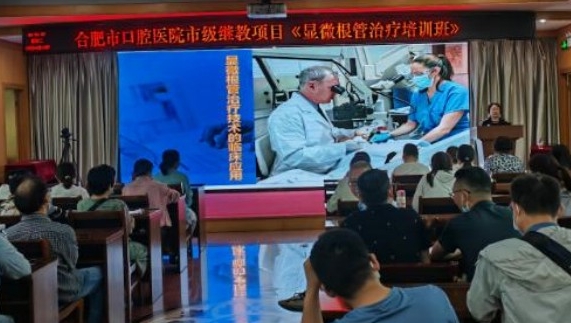 香港全年最全免费资料
