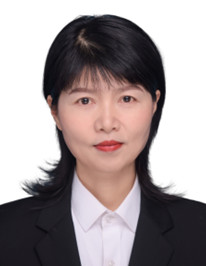 香港全年最全免费资料