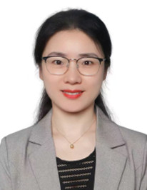 香港全年最全免费资料