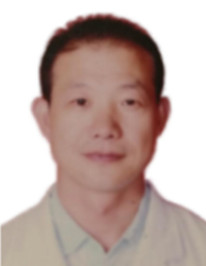 香港全年最全免费资料