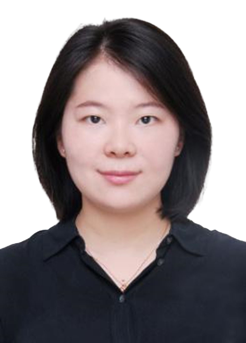 香港全年最全免费资料