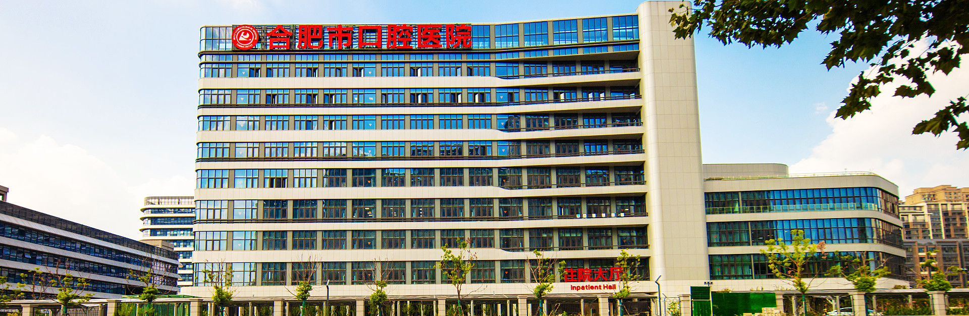 香港全年最全免费资料